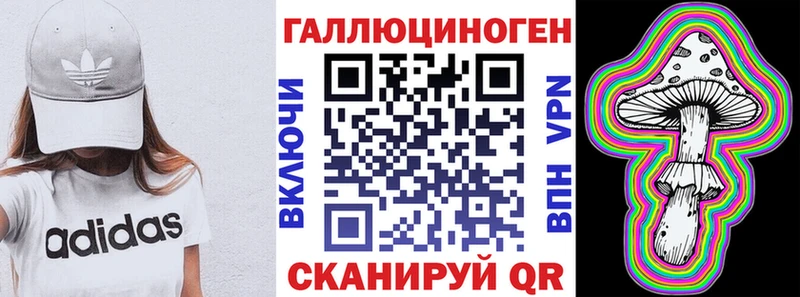 как найти Бологое Галлюциногенные грибы ЛСД